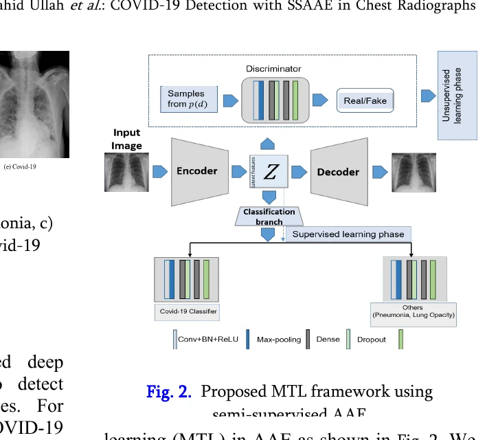 Semi-supervised adversarial autoencoder framework for COVID-19 detection from chest radiographs