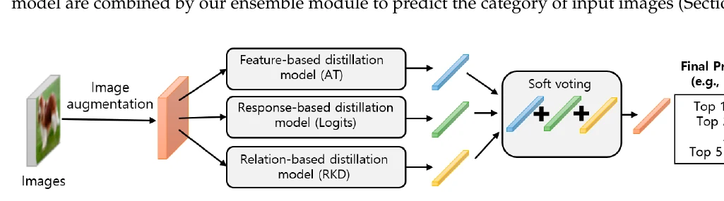 Knowledge-distillation ensemble combining feature-based, response-based and relation-based models with soft voting