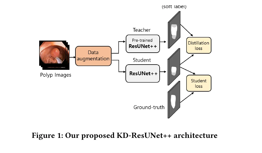 KD-ResUNet++ teacher-student self-knowledge-distillation architecture for automatic polyp segmentation