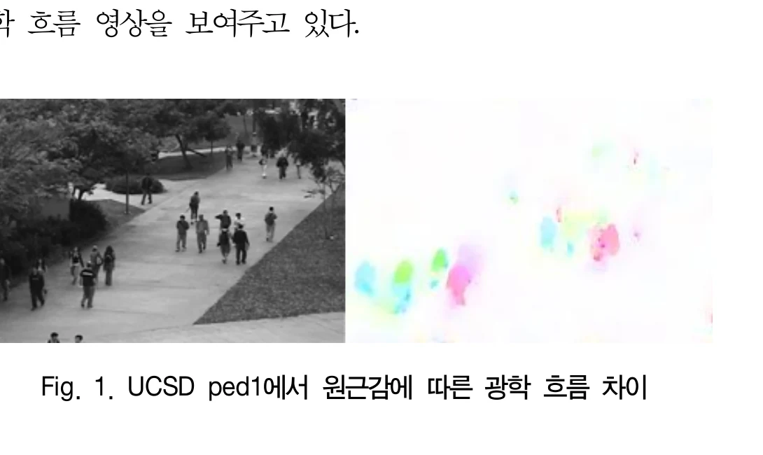 Crowd frame and optical-flow preprocessing visualization used for video anomaly detection