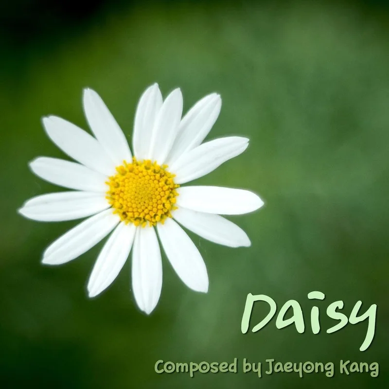 Daisy cover artwork